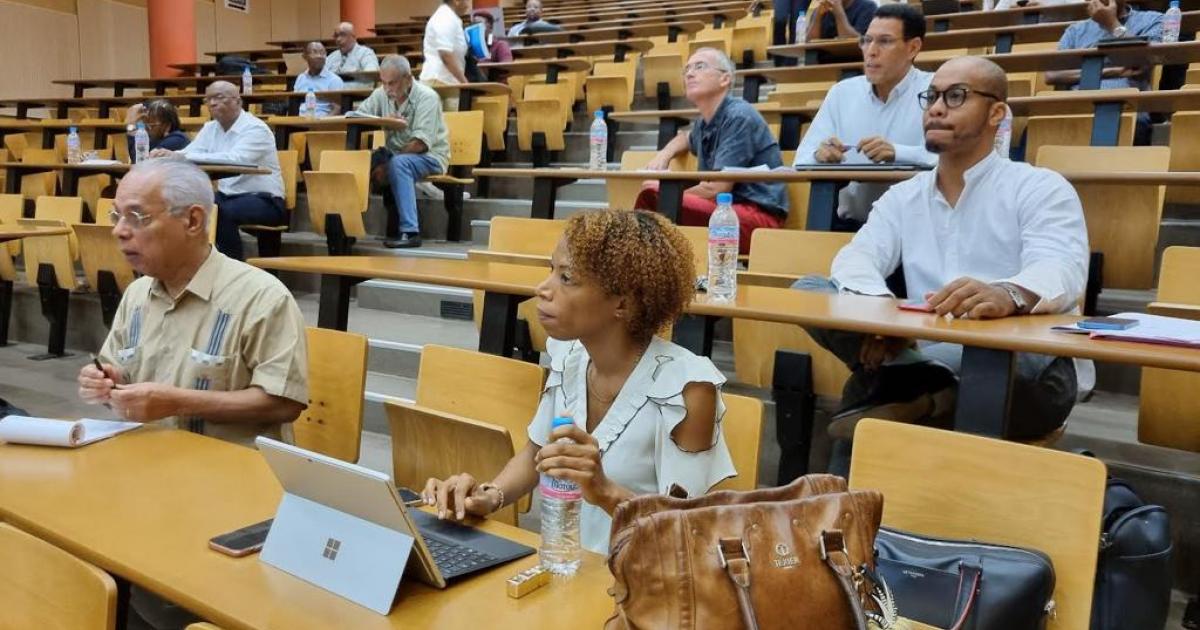 Conseil National De La Refondation Site Officiel